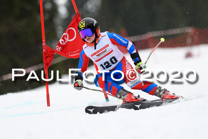 DSV - Deutscher Schülercup U12 Finale RaceCross