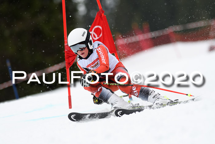 DSV - Deutscher Schülercup U12 Finale RaceCross