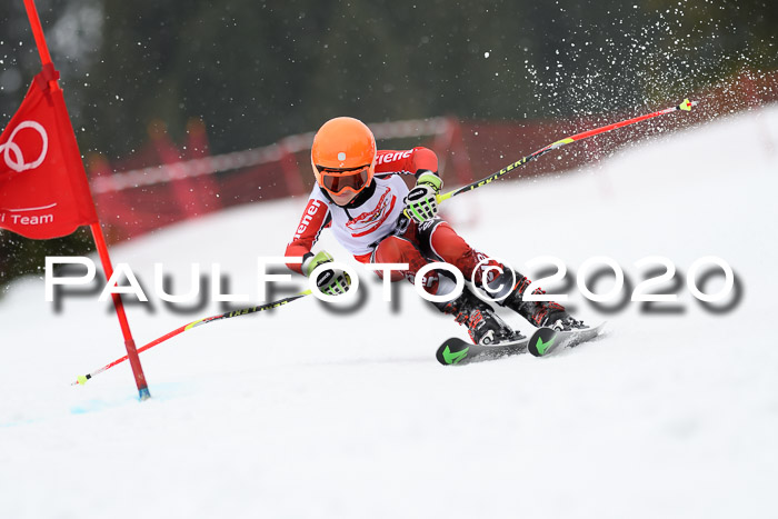 DSV - Deutscher Schülercup U12 Finale RaceCross