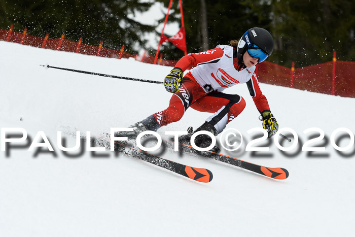 DSV - Deutscher Schülercup U12 Finale RaceCross