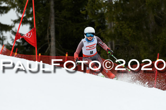 DSV - Deutscher Schülercup U12 Finale RaceCross