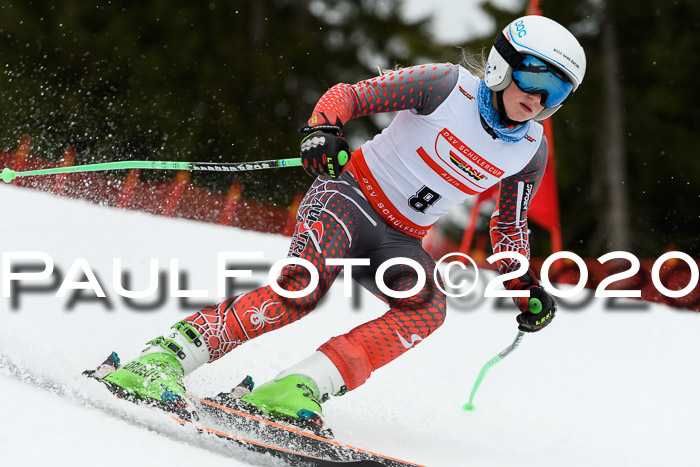 DSV - Deutscher Schülercup U12 Finale RaceCross