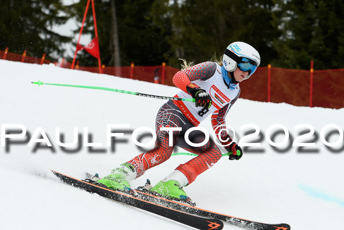 DSV - Deutscher Schülercup U12 Finale RaceCross