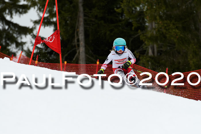 DSV - Deutscher Schülercup U12 Finale RaceCross