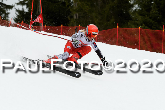 DSV - Deutscher Schülercup U12 Finale RaceCross