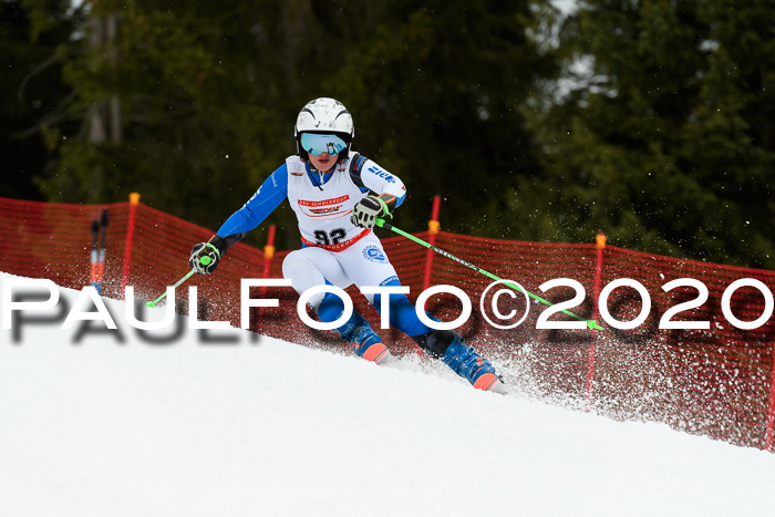 DSV - Deutscher Schülercup U12 Finale RaceCross