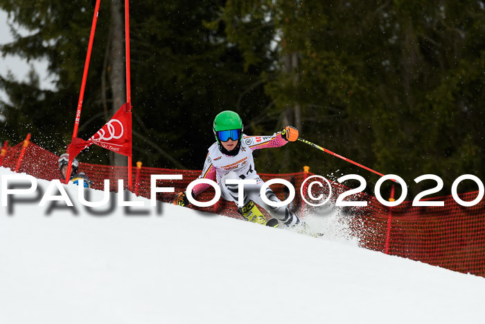 DSV - Deutscher Schülercup U12 Finale RaceCross