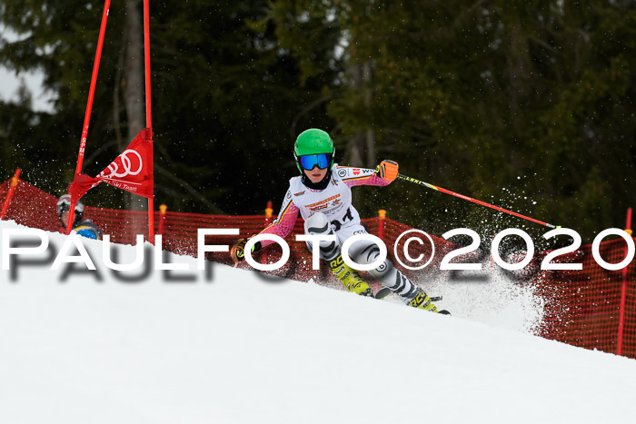 DSV - Deutscher Schülercup U12 Finale RaceCross