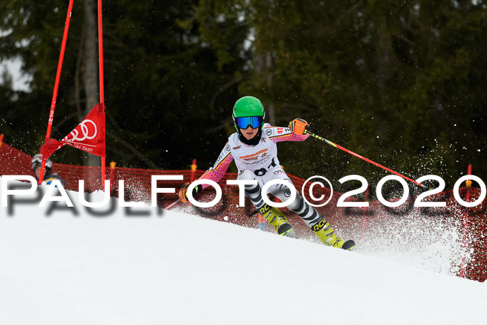 DSV - Deutscher Schülercup U12 Finale RaceCross