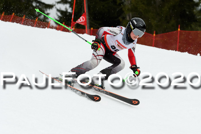 DSV - Deutscher Schülercup U12 Finale RaceCross