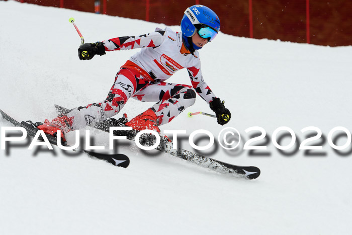 DSV - Deutscher Schülercup U12 Finale RaceCross