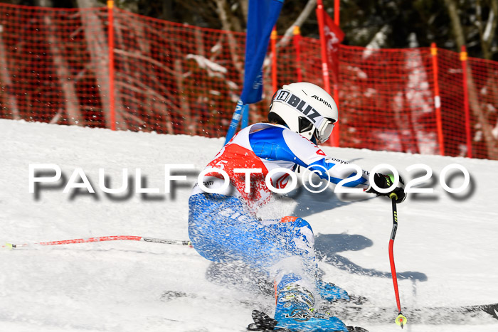 DSV - Deutscher Schülercup U12 Finale Team PSL