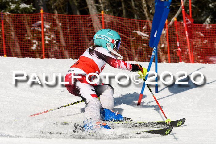 DSV - Deutscher Schülercup U12 Finale Team PSL