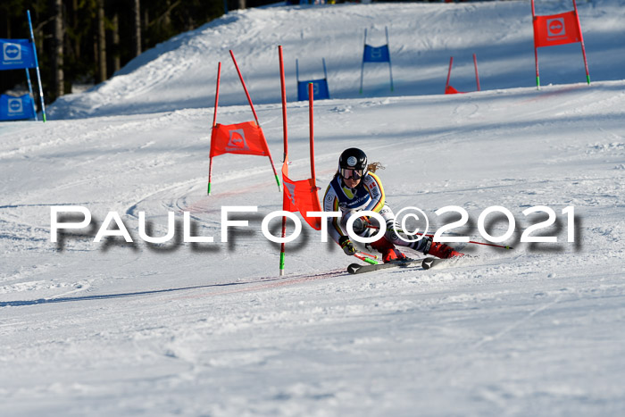 Deutsche Meisterschaft Team PSL Gudiberg 23.03.2019