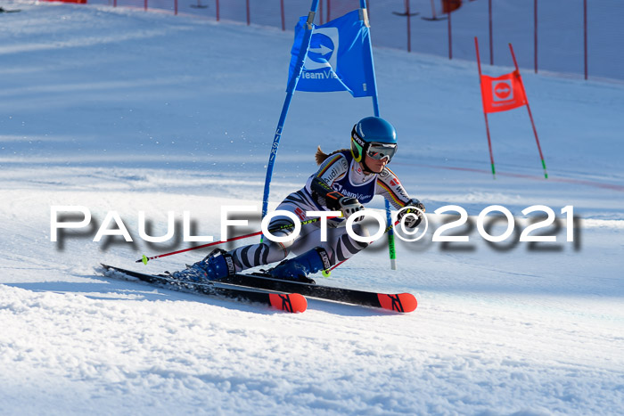 Deutsche Meisterschaft Team PSL Gudiberg 23.03.2019