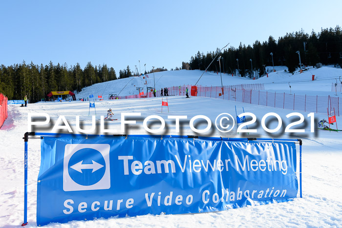 Deutsche Meisterschaft Team PSL Gudiberg 23.03.2019