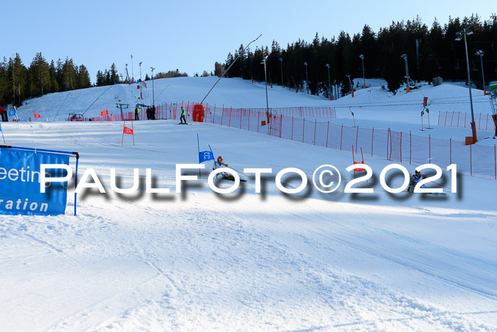 Deutsche Meisterschaft Team PSL Gudiberg 23.03.2019