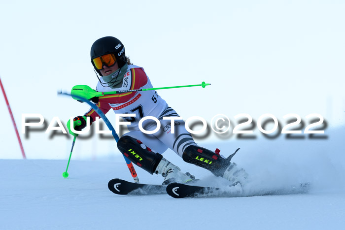 FIS AC NJC Damen + Herren Super-G