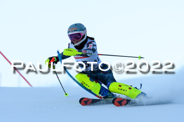 FIS AC NJC Damen + Herren Super-G