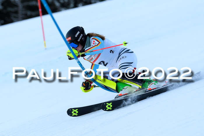 FIS AC NJC Damen + Herren Super-G