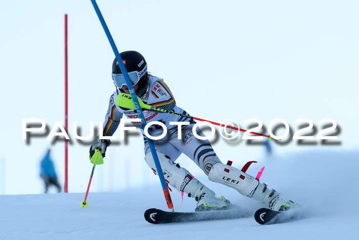 FIS AC NJC Damen + Herren Super-G