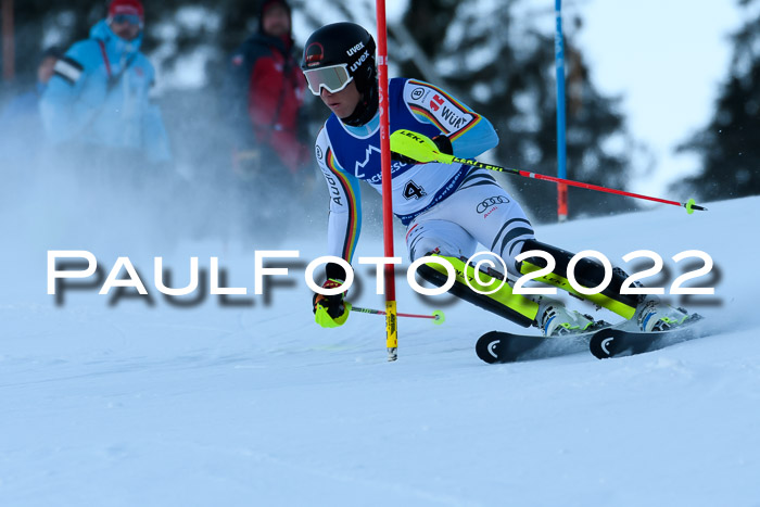 FIS AC NJC Damen + Herren Super-G