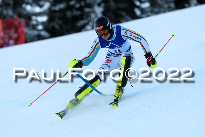 FIS AC NJC Damen + Herren Super-G