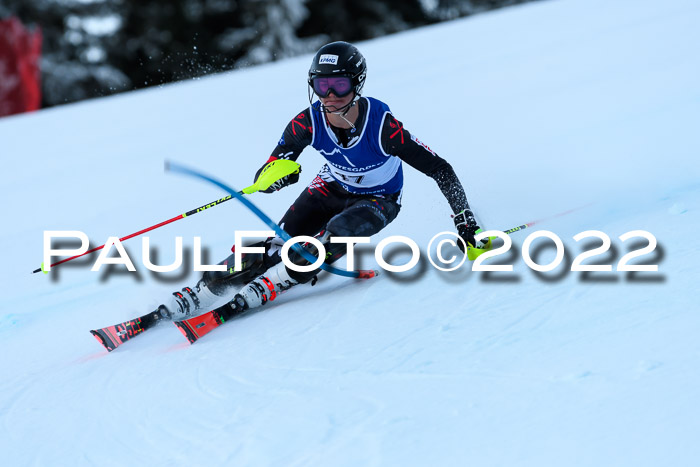 FIS AC NJC Damen + Herren Super-G