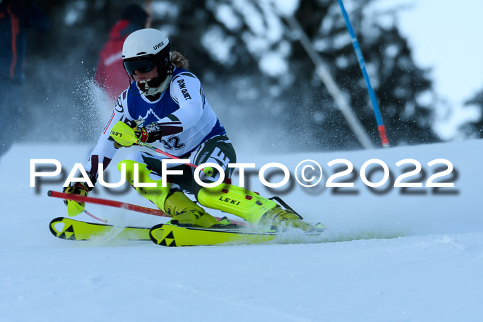 FIS AC NJC Damen + Herren Super-G