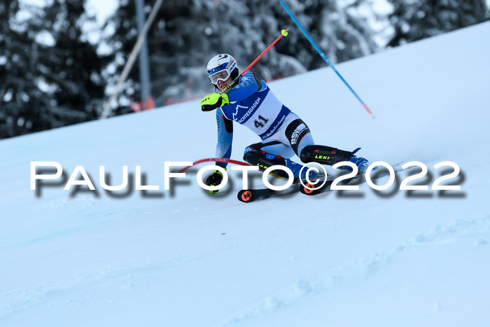 FIS AC NJC Damen + Herren Super-G