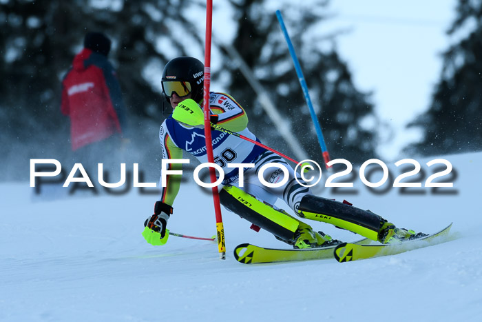 FIS AC NJC Damen + Herren Super-G