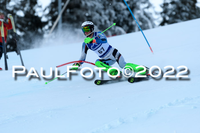 FIS AC NJC Damen + Herren Super-G