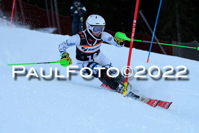 FIS Slalom Damen + Herren, ATA, 16.01.2022