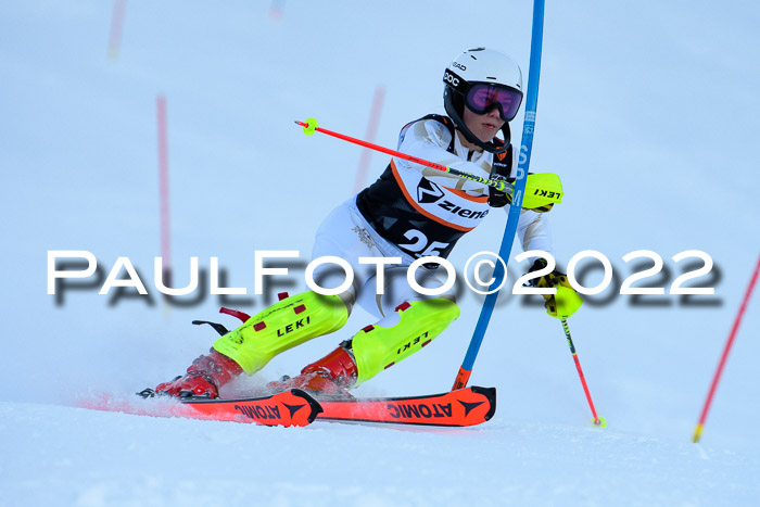 FIS Slalom Damen + Herren, ATA, 16.01.2022