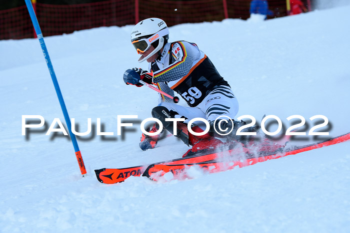 FIS Slalom Damen + Herren, ATA, 16.01.2022