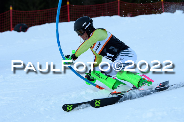 FIS Slalom Damen + Herren, ATA, 16.01.2022