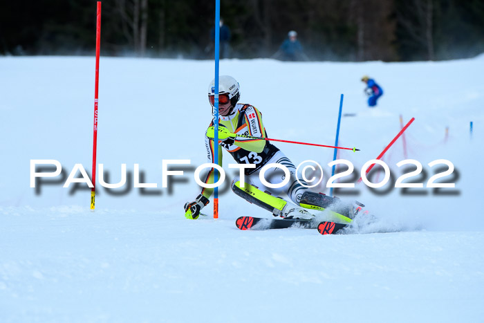 FIS Slalom Damen + Herren, ATA, 16.01.2022