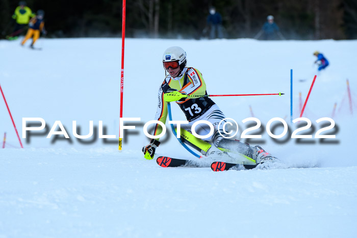 FIS Slalom Damen + Herren, ATA, 16.01.2022