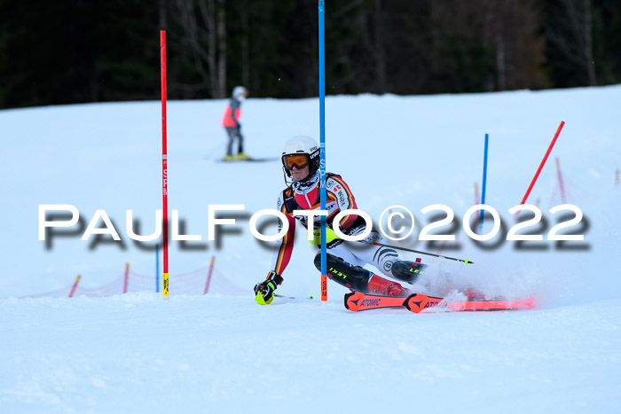 FIS Slalom Damen + Herren, ATA, 16.01.2022