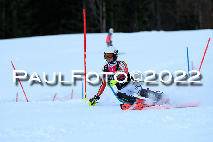 FIS Slalom Damen + Herren, ATA, 16.01.2022