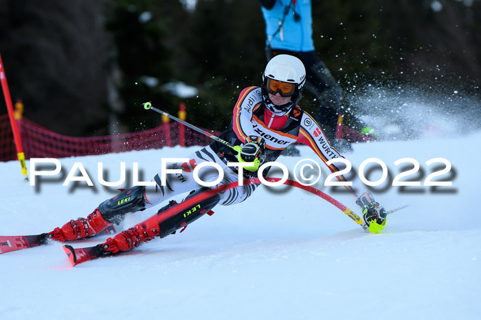 FIS Slalom Damen + Herren, ATA, 16.01.2022