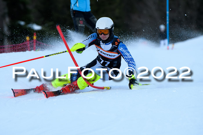 FIS Slalom Damen + Herren, ATA, 16.01.2022