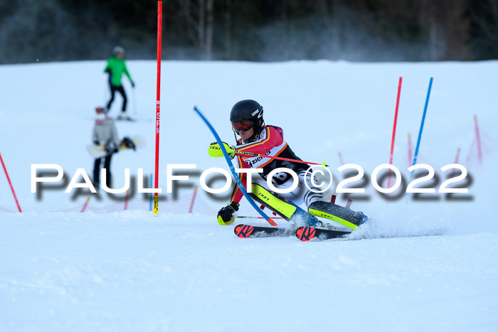 FIS Slalom Damen + Herren, ATA, 16.01.2022