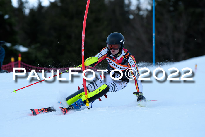 FIS Slalom Damen + Herren, ATA, 16.01.2022