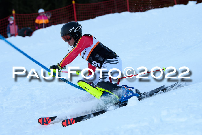 FIS Slalom Damen + Herren, ATA, 16.01.2022