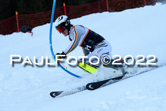 FIS Slalom Damen + Herren, ATA, 16.01.2022