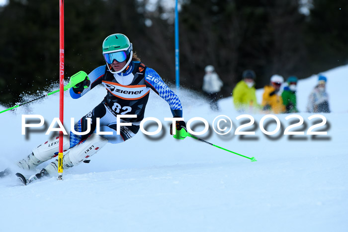 FIS Slalom Damen + Herren, ATA, 16.01.2022