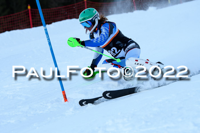 FIS Slalom Damen + Herren, ATA, 16.01.2022