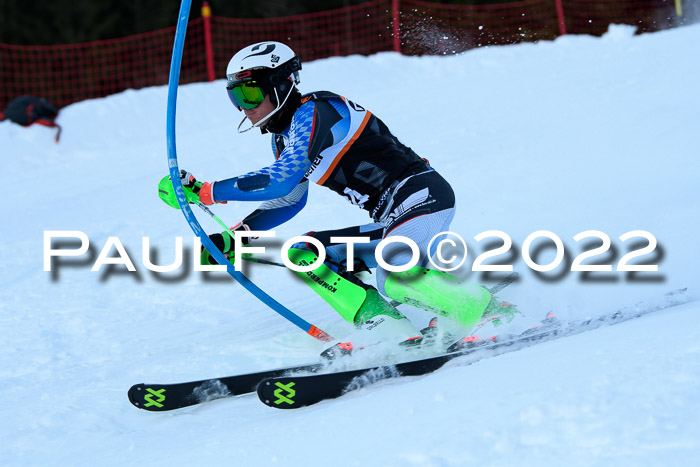 FIS Slalom Damen + Herren, ATA, 16.01.2022