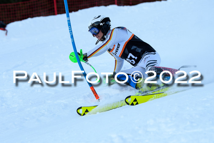 FIS Slalom Damen + Herren, ATA, 16.01.2022